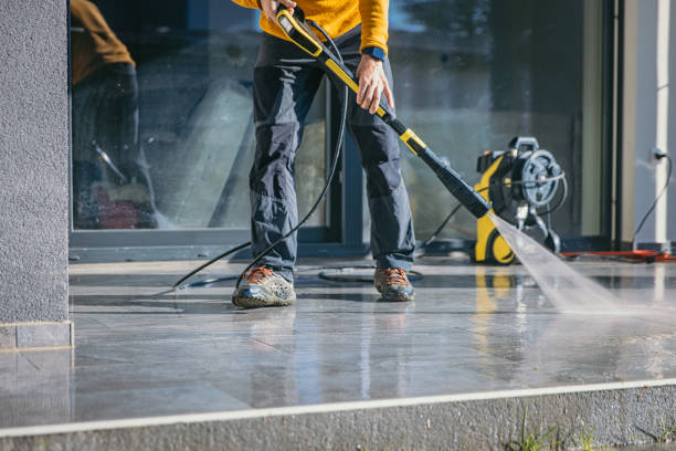 Best Roof Pressure Washing  in St Charles, MN