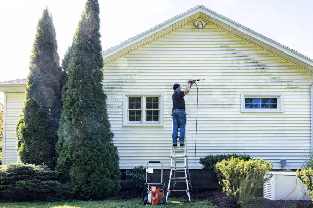 Best Pressure Washing Services for Businesses  in St Charles, MN
