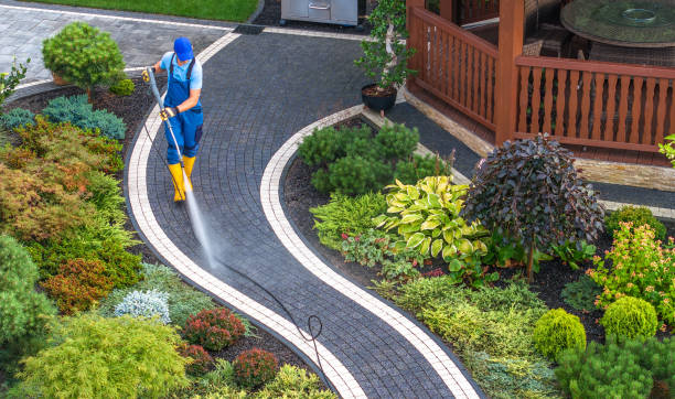 Best Fence Pressure Washing  in St Charles, MN