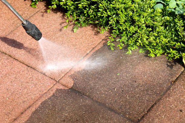 Best Roof Pressure Washing  in St Charles, MN